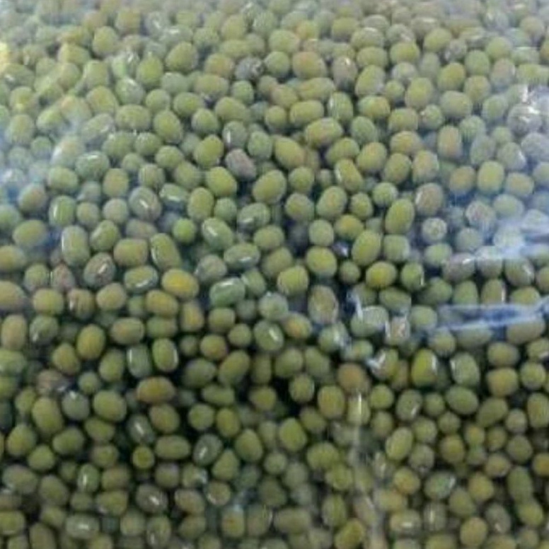 

B@ru kacang ijo lokal 1 kg kacang ijo bubur Special Price