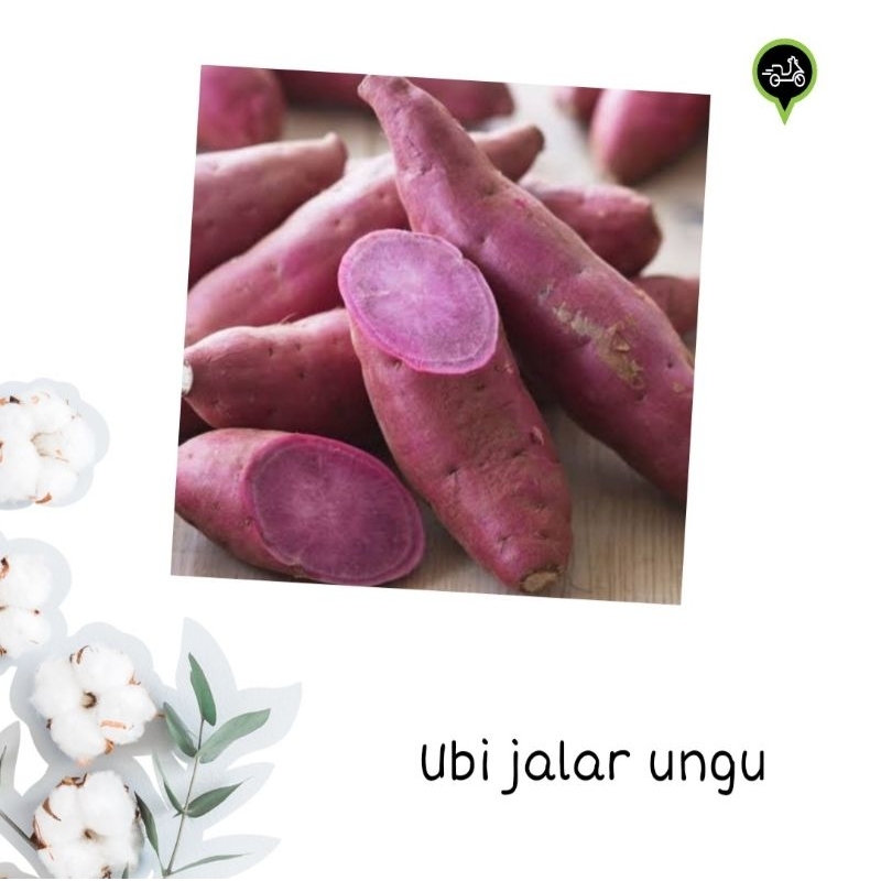 

Ubi jalar