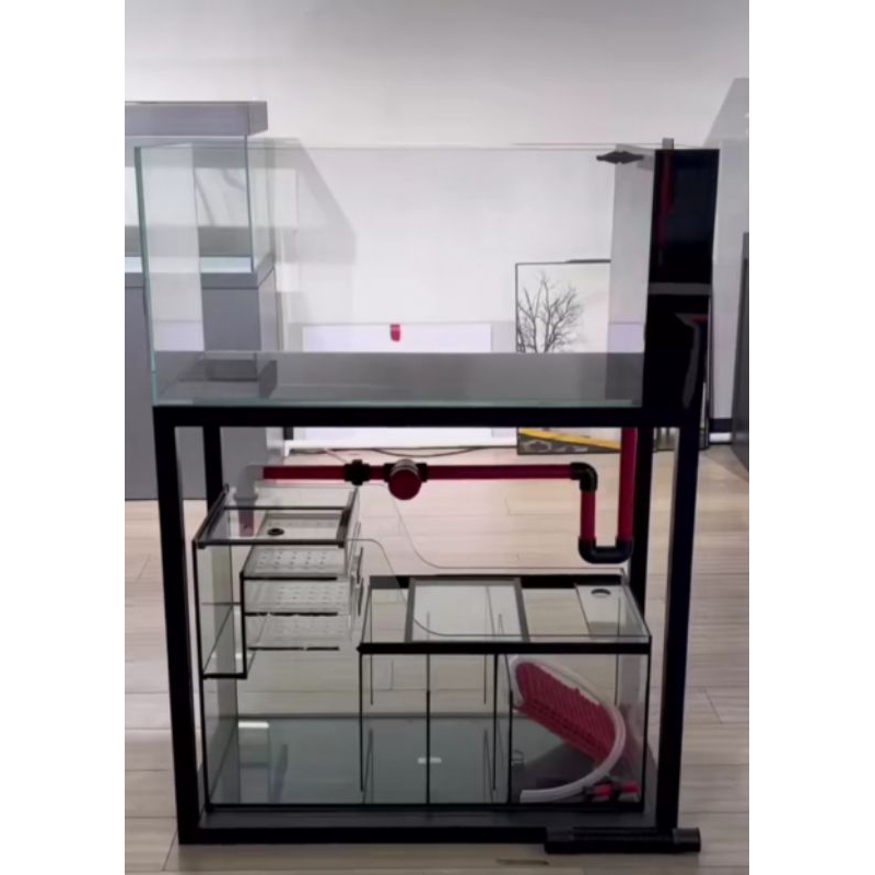 jasa Mentenen kolam koi