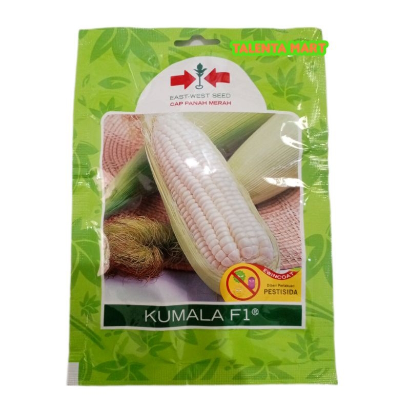 CPM - 200 BUTIR BENIH JAGUNG PUTIH PULUT KETAN MANIS KUMALA F1