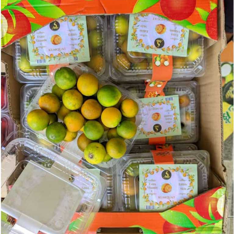 Buah Jeruk Kimkit Madu Segar 1 Pack Buah Jeruk yang Bisa dimakan kulitnya Jeruk Kimkit Fresh