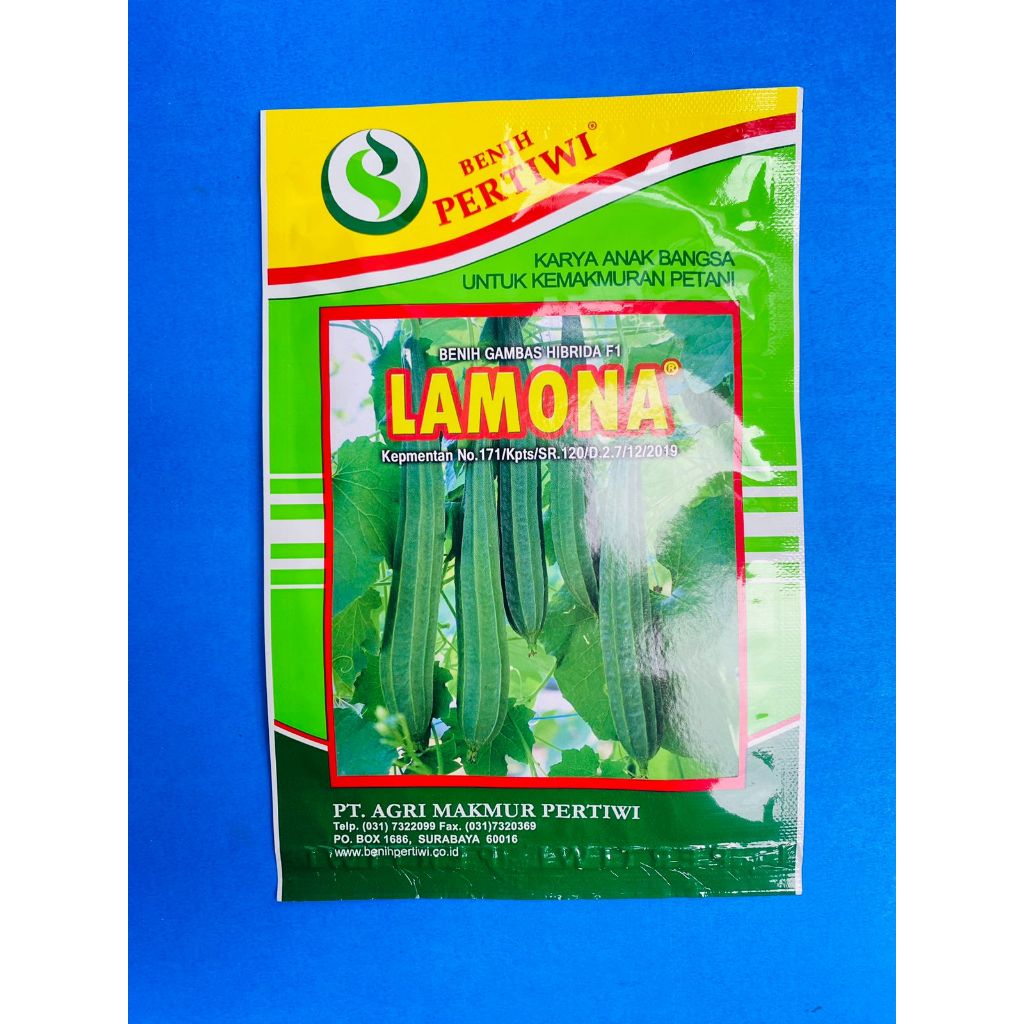 BENIH GAMBAS OYONG HIBRIDA F1 LAMONA isi 10gr dari BENIH PERTIWI