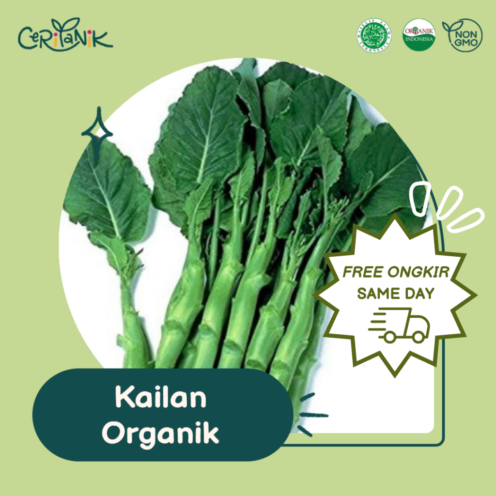 

Kailan Organik 250 gram - Ceritanik - Chinese Broccoli Organic - Sayur Organik Murah - Sayur Organik Sehat - Sayur Organik Premium