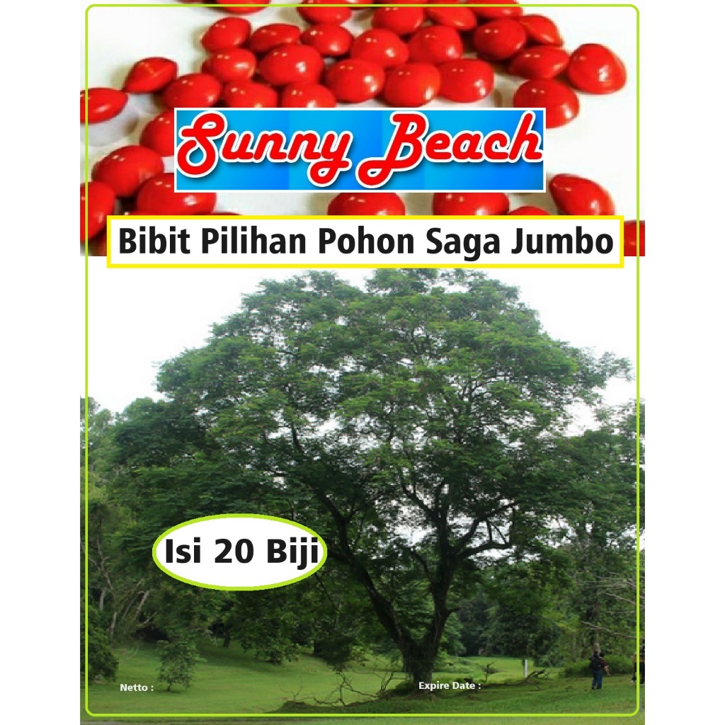 Bibit Pilihan Pohon Saga Jumbo | Biji Benih Saga Pohon Jumbo | Sage | Pohon Sage