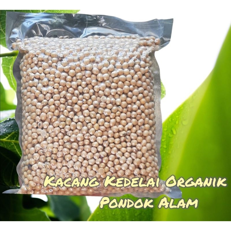 kedelai organik lokal Non GMO 500g