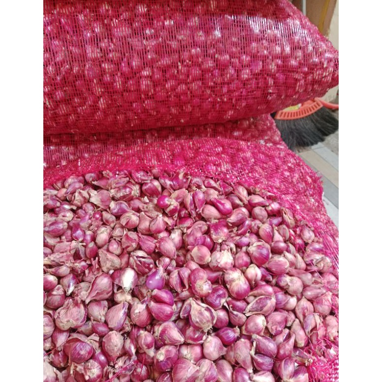 

R33ady St0ck bawang merah brebes ukuran sedang 1 kg [122]
