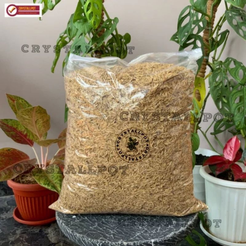 Sekam Mentah Sekam 1 KG Kering Sekam Media tanam Pot Sekam Kayu Sekam Murni Sekam gilingan Padi