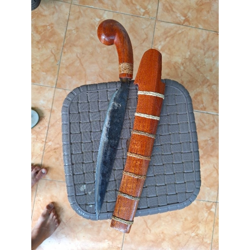 kuduk pagar alam willys