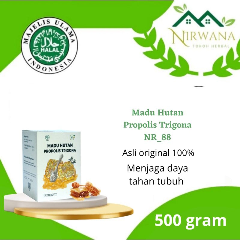 

Madu Hutan plus propolis trigona NR88 original 500 gram
