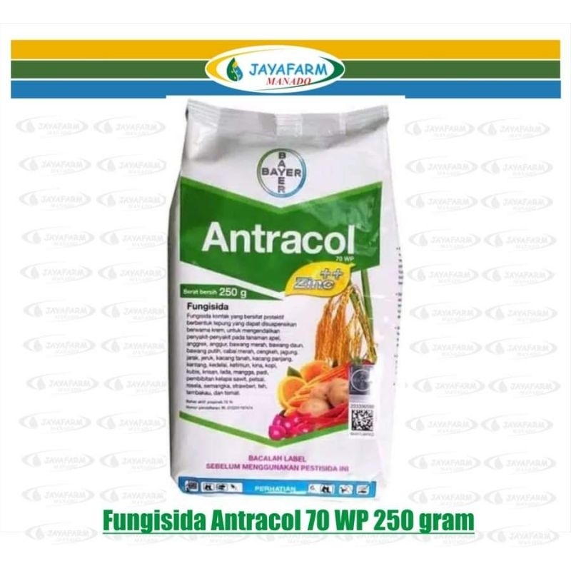 ANTRACOL /Fungisida /250Gram