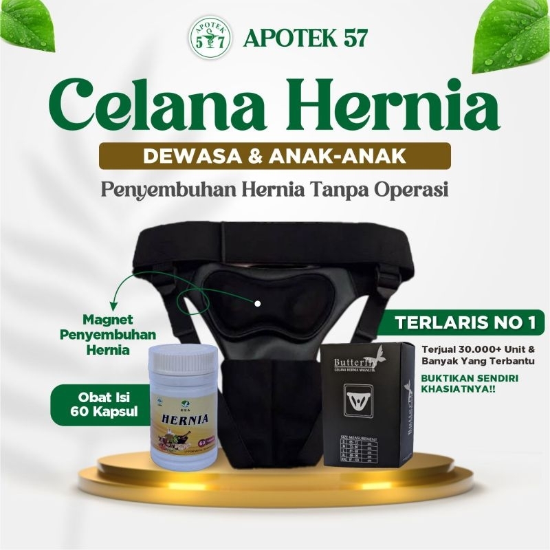 Celana Hernia Pria Dewasa Magnetik Butterfly