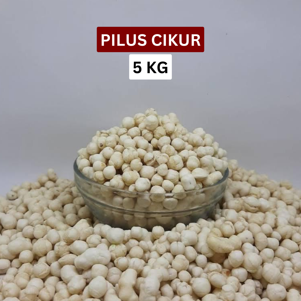 

Pilus Cikur Kencur 5kg Renyah, Tidak Keras, Toping Seblak Cuanki Bakso Aci