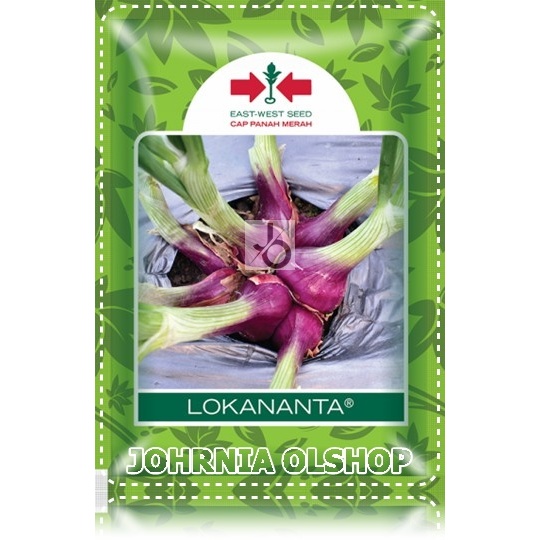 Johrnia 25 Benih Biji Bawang Merah LOKANANTA
