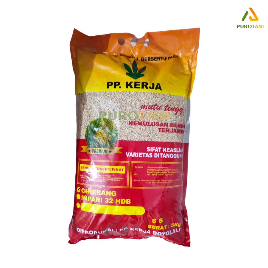 Benih Padi PP Kerja Premium Ciherang PP Kerja 5 Kg