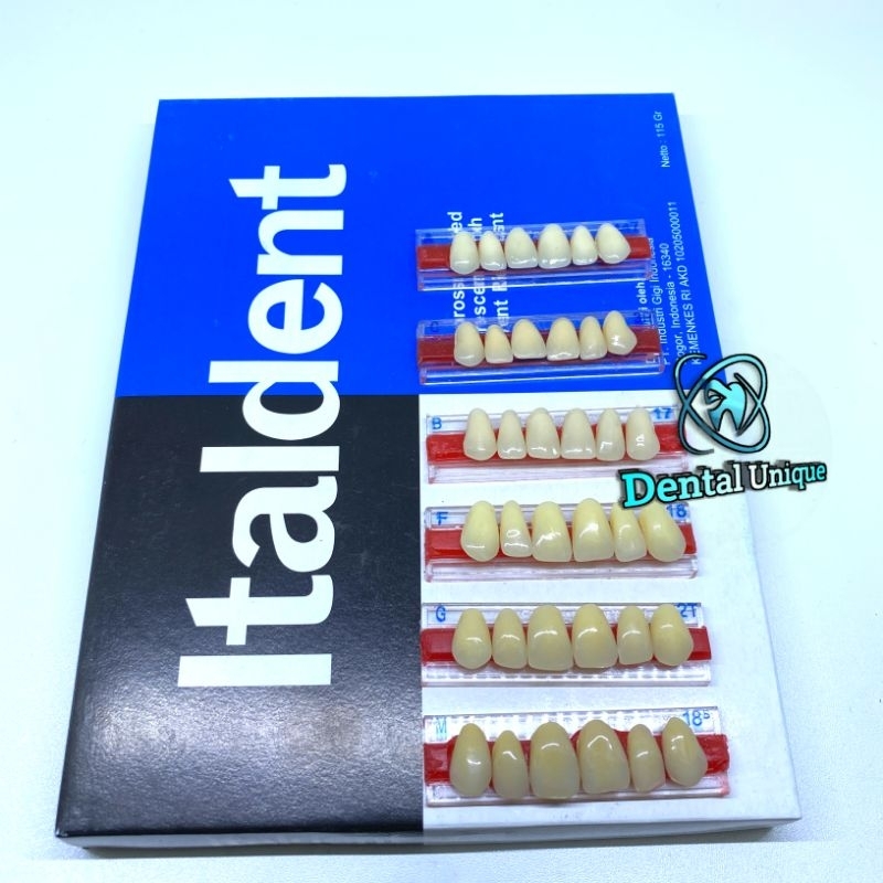 Gigi palsu italdent Perbox italdent depan atas Anterior Atas
