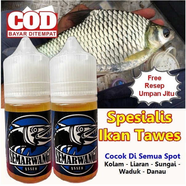 Semarwangi Esen Oplosan Ikan Tawes - Essen Ikan Tawes Liar - Essen Ikan Tawes Sungai / Danau / Waduk