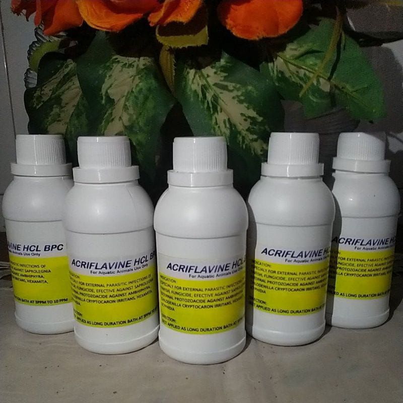 Acriflavine 250ml Antibiotik//Obat Luka (untuk Cupang,Louhan,Arwana,ikan hias)