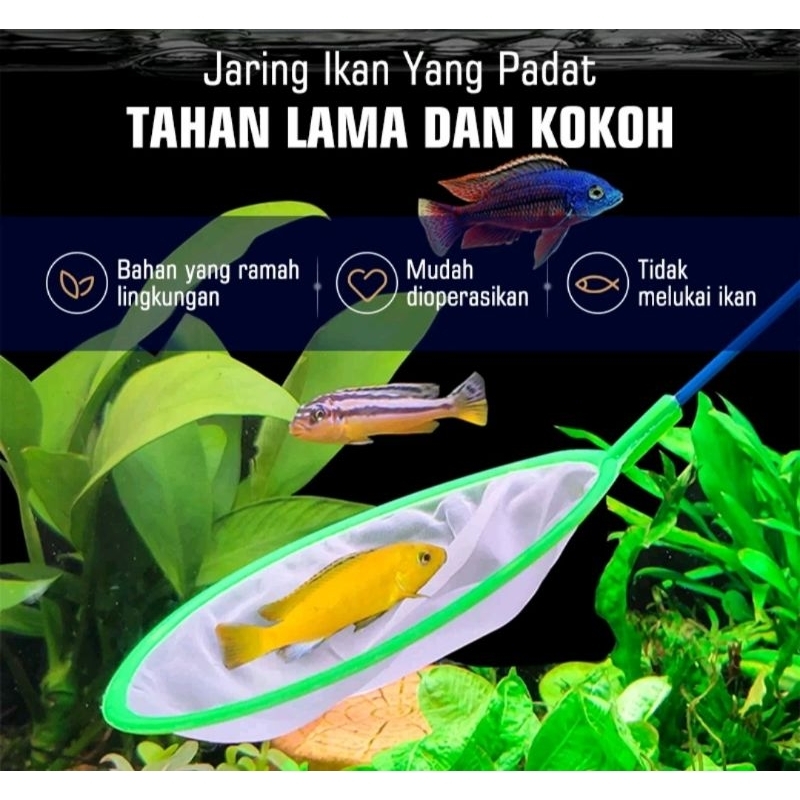 Serokan ikan hias