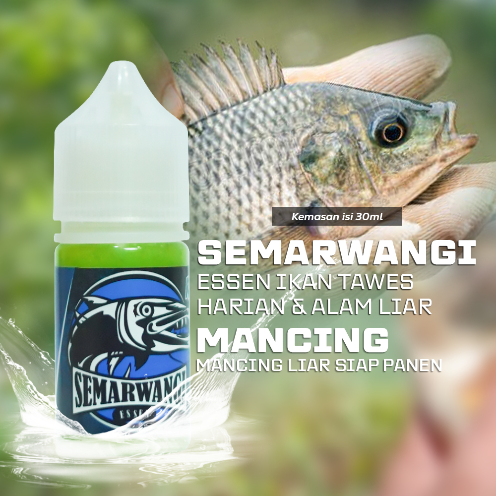 SEMARWANGI Essen Umpan Ikan Nila Mancing dikolam Harian/Liar Media Lumut