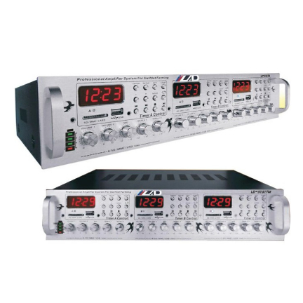 AMPLI WALET LAD 3131