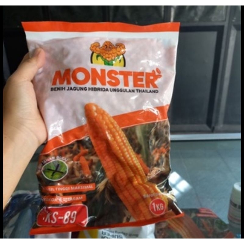 Benih Jagung Hibrida KS-89 Monster 1Kg