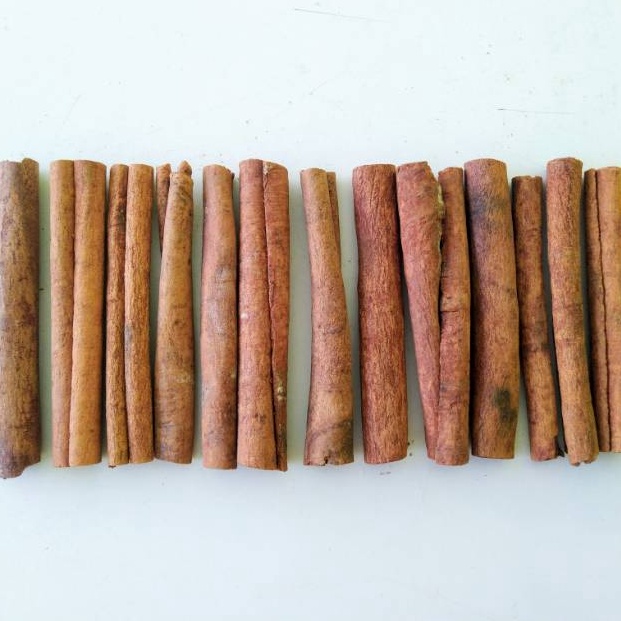 

Terb@tas Kayu manis stik 8cm Kemasan 100gr / Cinnamon Stick 8cm Original