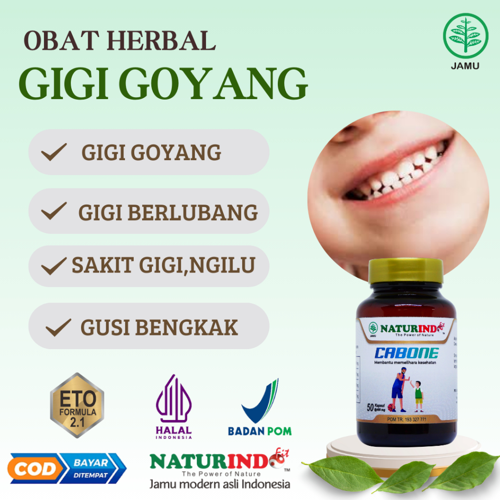 Obat Gigi Goyang Penguat Gigi GoyangGigi Berlubang obat sakit gigi berlubang nyeri gusi bengkak Cabo