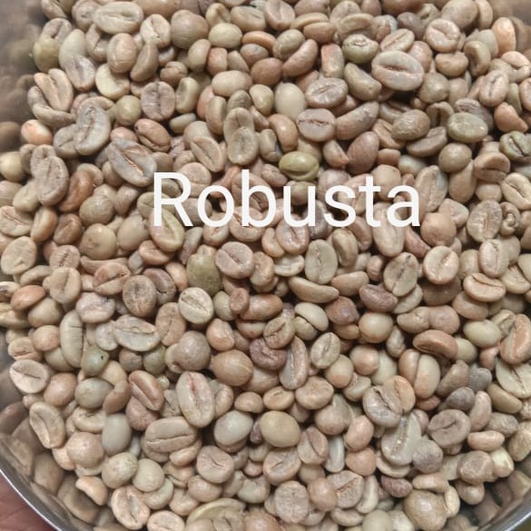 

Green Bean Robusta Mandheling Grade 1 @100kg/ Karung