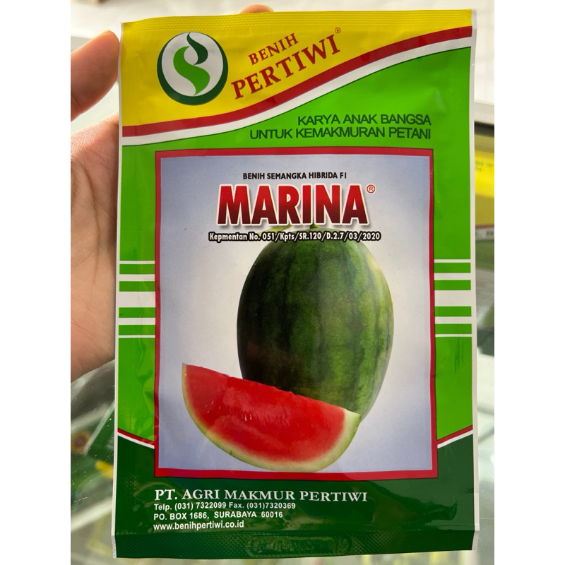 Benih Semangka Merah Non Biji MARINA 20gr Pertiwi F1