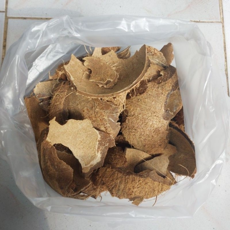 Batok kelapa kering 1kg
