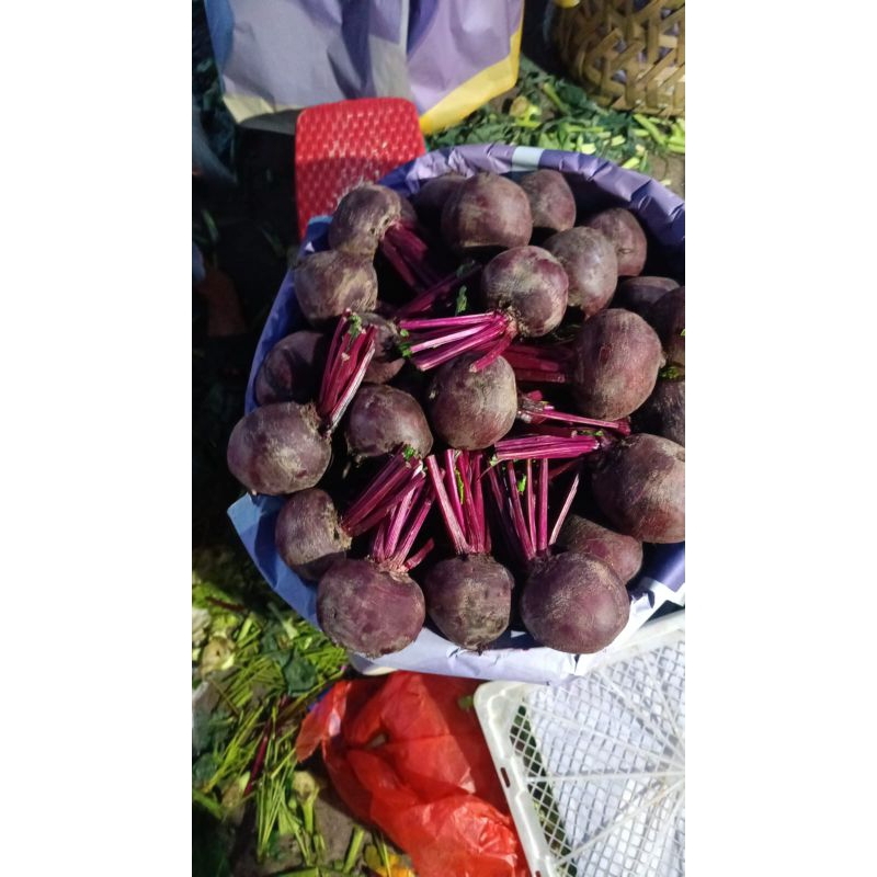 

buah bit