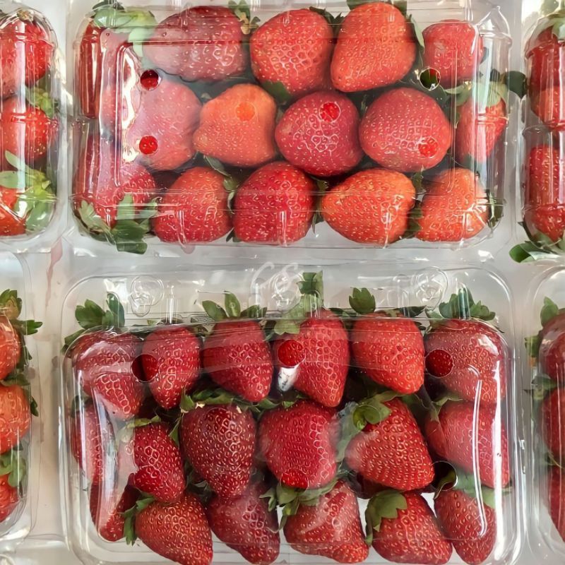 

[CosmicSoul] BUAH STRAWBERRY MERAH 1 PACK