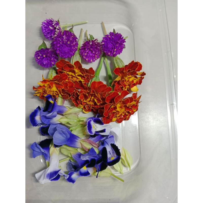 

edible flower