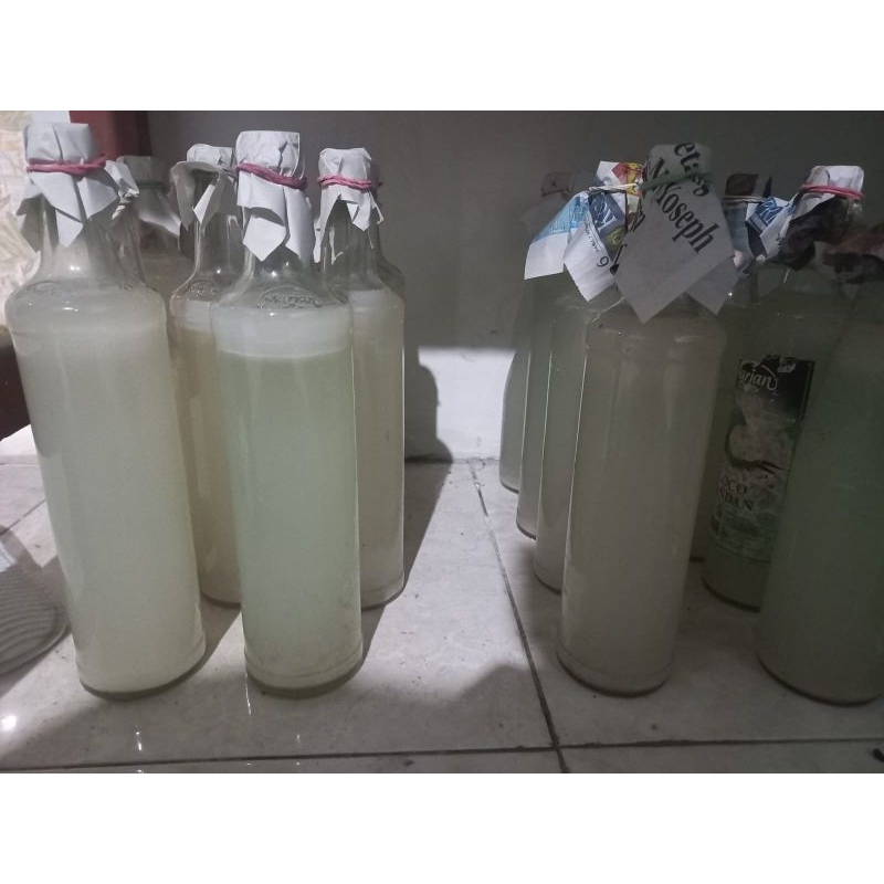 

STARTER BIBIT NATA DE COCO ACETOBACTER XYLINIUM 250ml