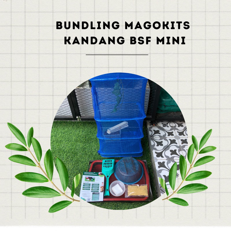 Bundling Magokits Free Paket Budidaya Maggot BSF Lengkap Kandang Mini Box Trap Telur Bonus Tutup Pro