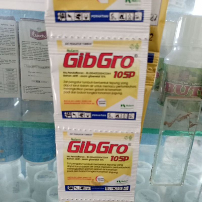 Gibgro 10sp