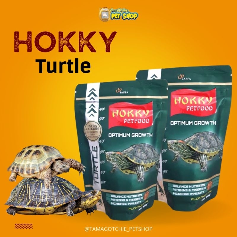 hokky turtle
