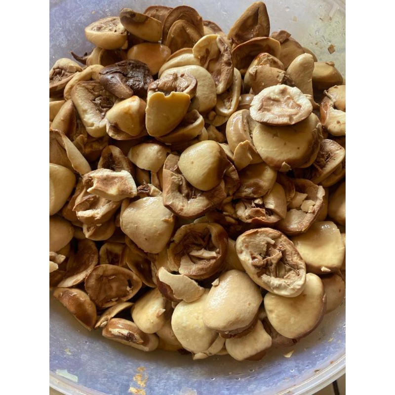 

Kepayang/Tuba/picung 250gr