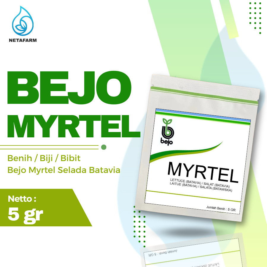 Benih / Biji / Bibit BEJO MYRTEL Selada Batavia - Kemasan 5 Gram