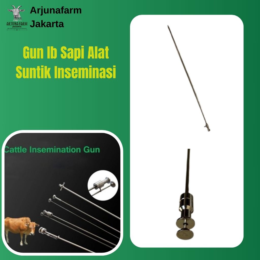 Gun Ib Sapi Alat Suntik Inseminasi Buatan Kawin Suntik Ai Sapi Domba Kualitas Terbaik