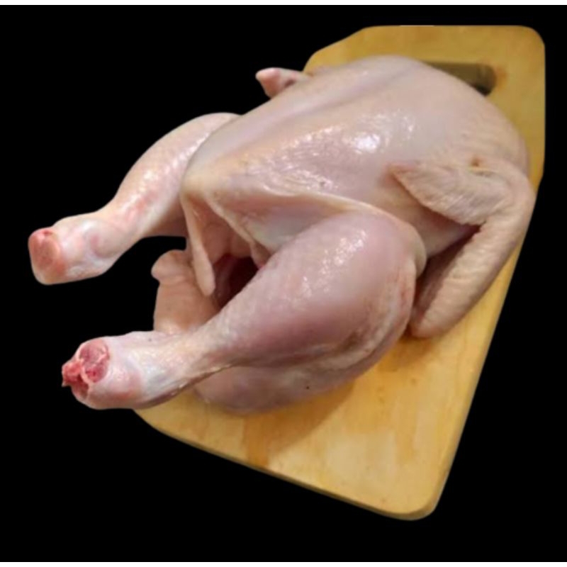 

ayam karkas Frozen size 07-08