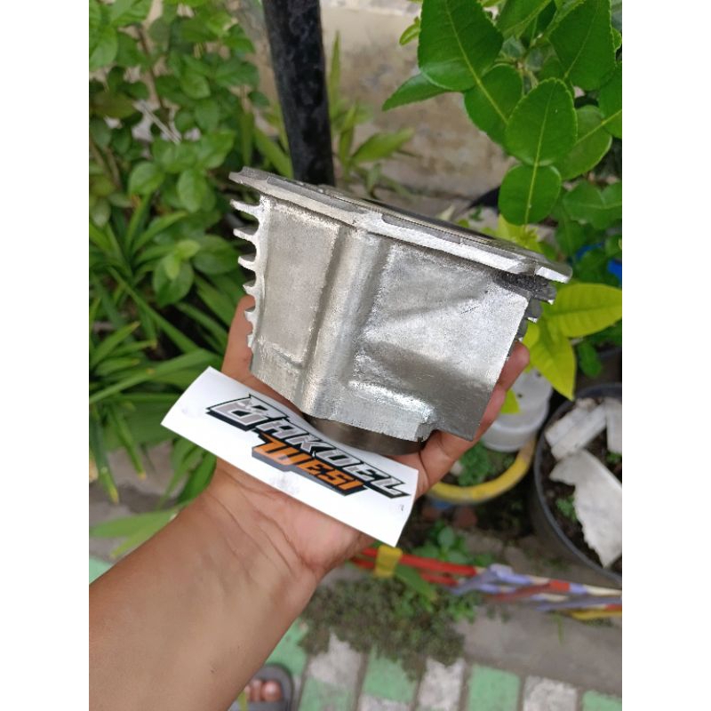 Blok tiger jamur blok jamur blok tiger original