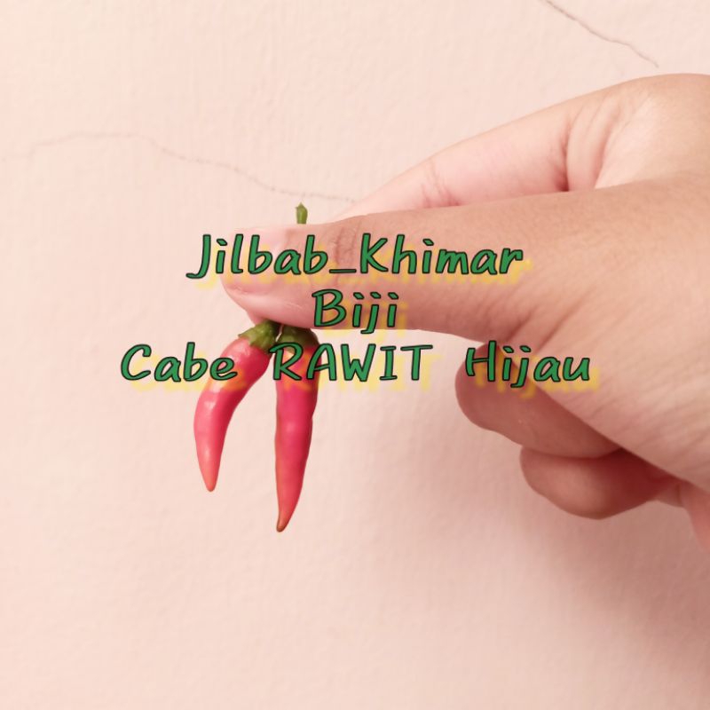 

BIJI CABE RAWIT HIJAU LALAP | LOMBOK CEPLUS