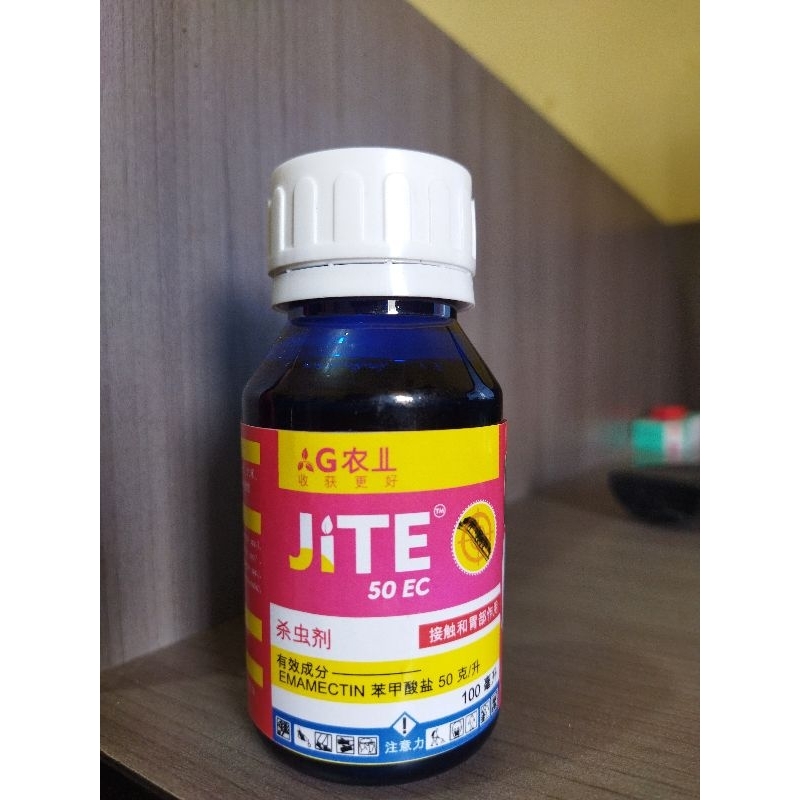 JITE INSEKTISIDA ULAT GRAYAK, AMPUH UNTUK BASMI ULAT BAWANG