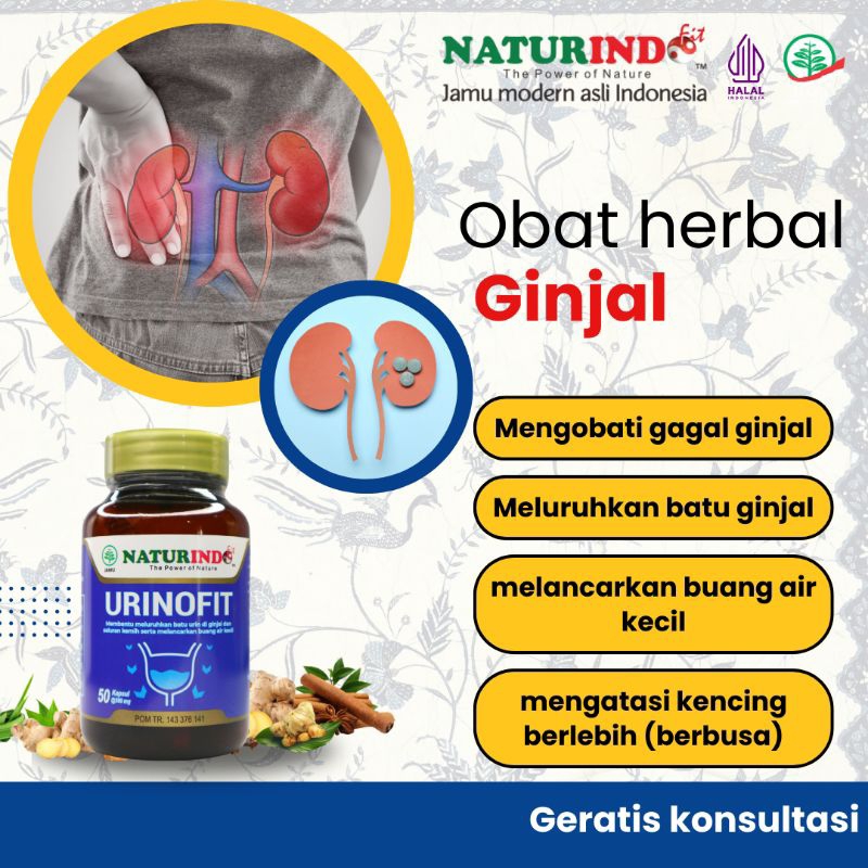 obat herbal batu ginjal penghancur batu ginjal sering kencing ginjal bengkak gagal ginjal herbal Uri