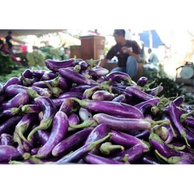 

Sayuran segar di jamin fresh terong 500 g