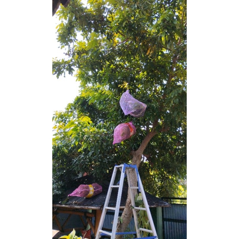 Pembungkus Segala Jenis Buah/Brongsong Kelengkeng /Brongsong Buah /waring karung bekas bawang