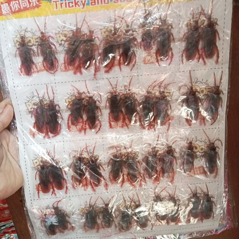 MAINAN PRANK KECOA/MAINAN ANAK KECOA PRANK