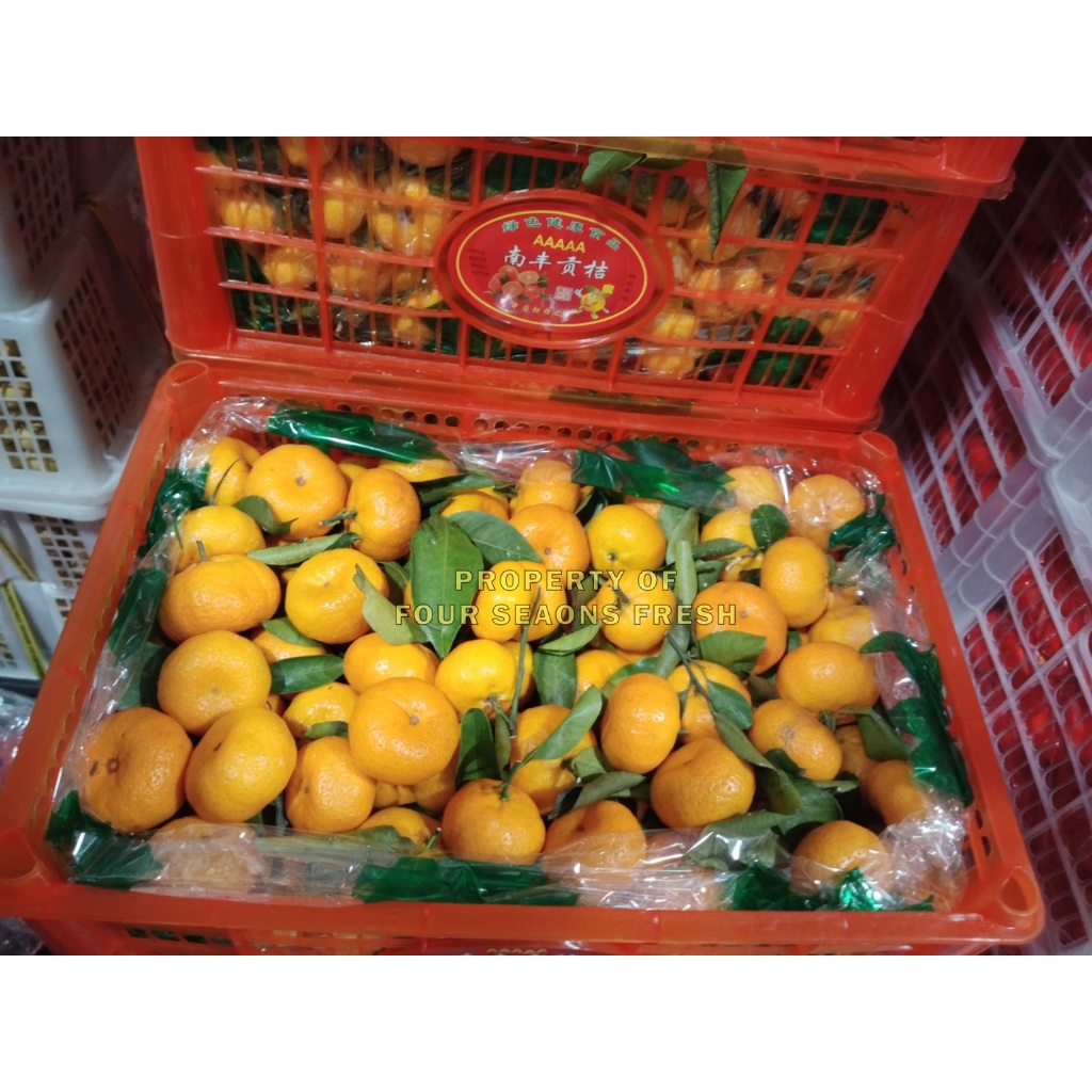 JERUK SANTANG 1 KERANJANG SEGAR BANYAK AIR SEGAR