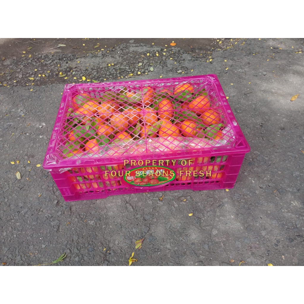 JERUK SANTANG MADU 1 KERANJANG SEGAR BANYAK AIR